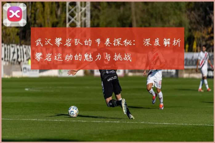 武汉攀岩队的节奏探秘：深度解析攀岩运动的魅力与挑战